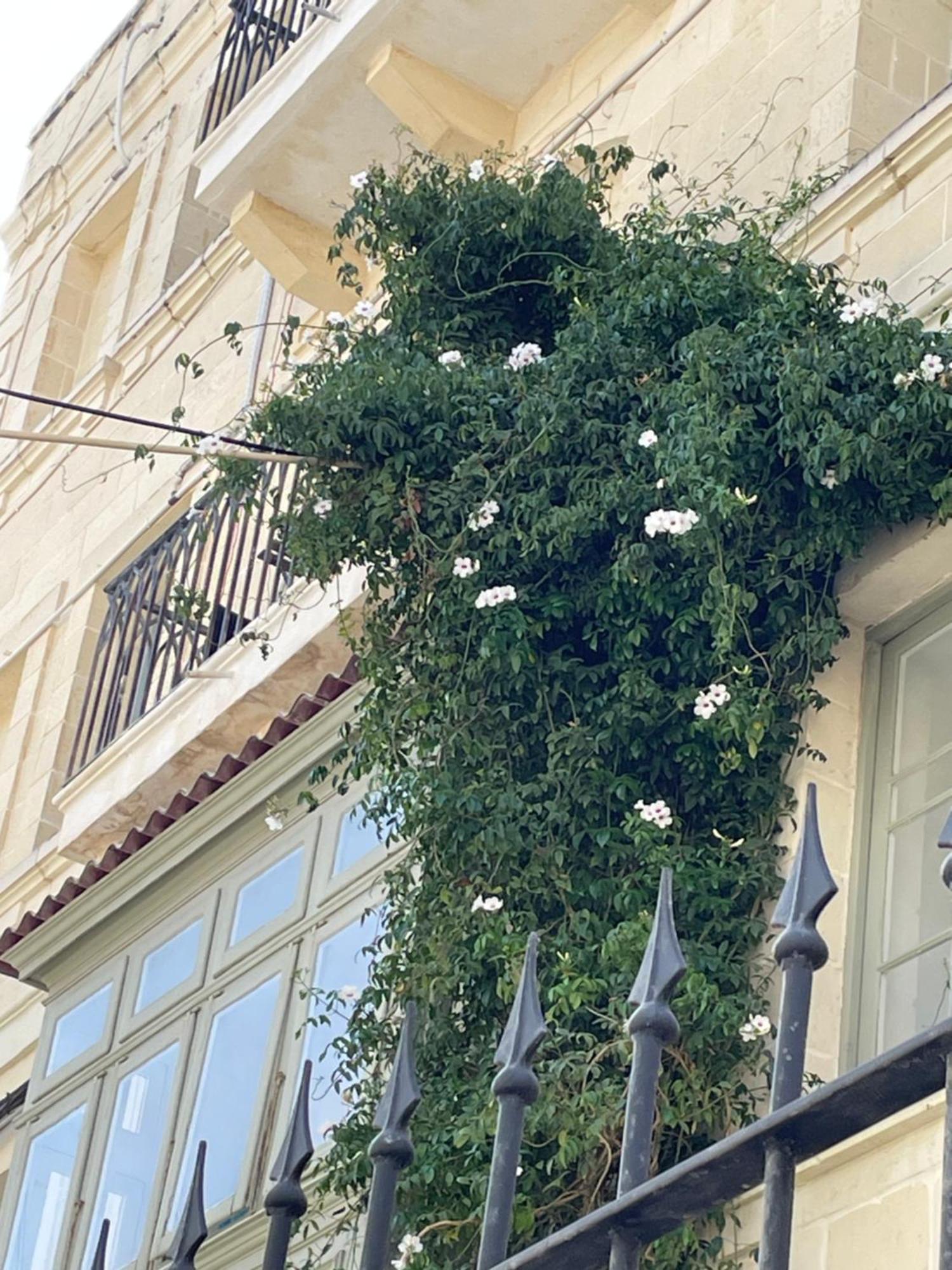 Simons Apartments Minutes Away From Balluta Bay And St Julians Sliema Exteriör bild